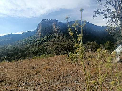 Soto Rancho "El Encanto"
