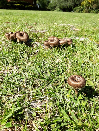 Photos of Criadero Pahuana
