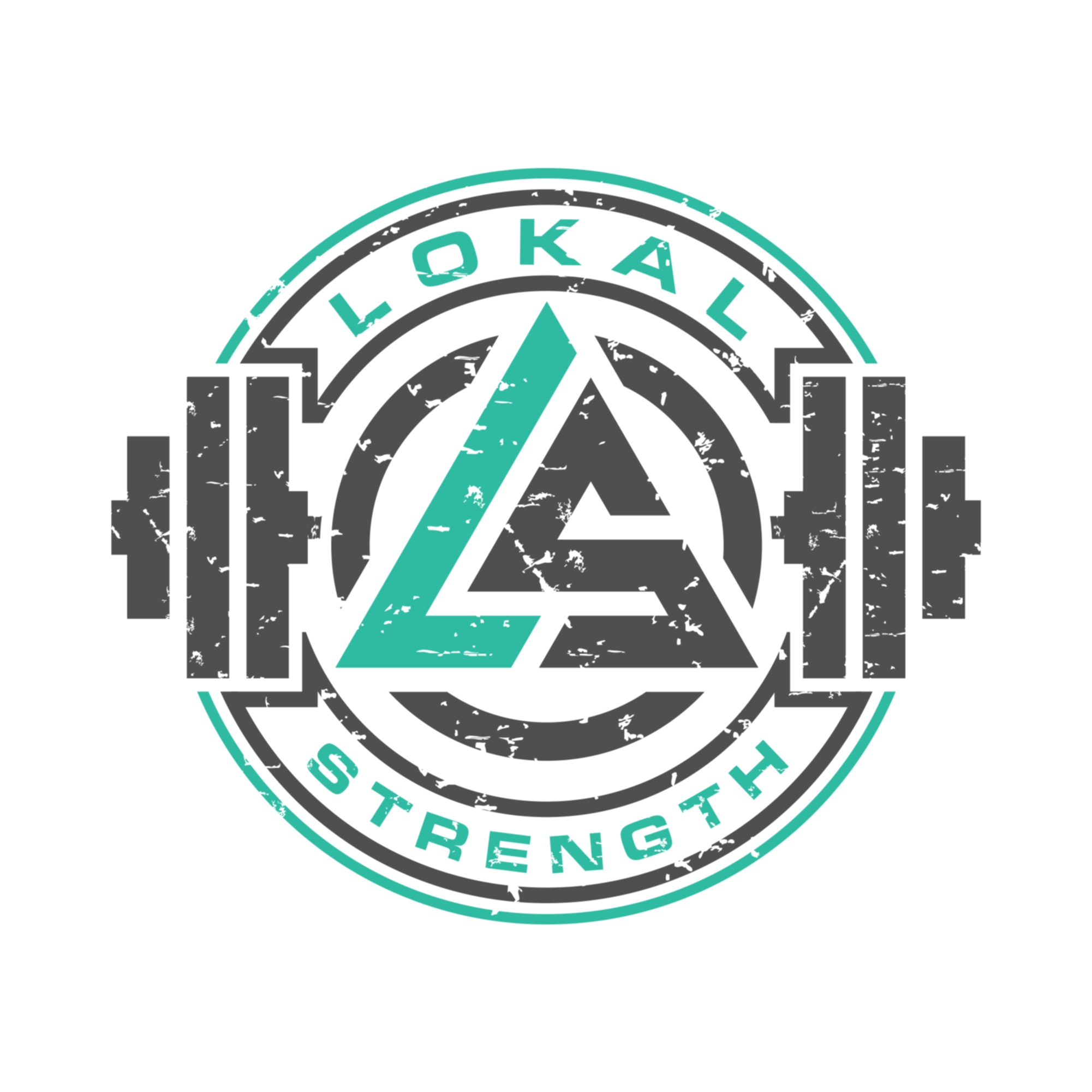 Lokal Strength Crossfit photo 17
