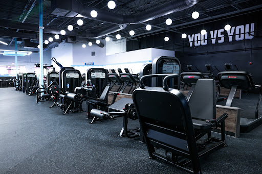 Amped Fitness (Carrollwood)