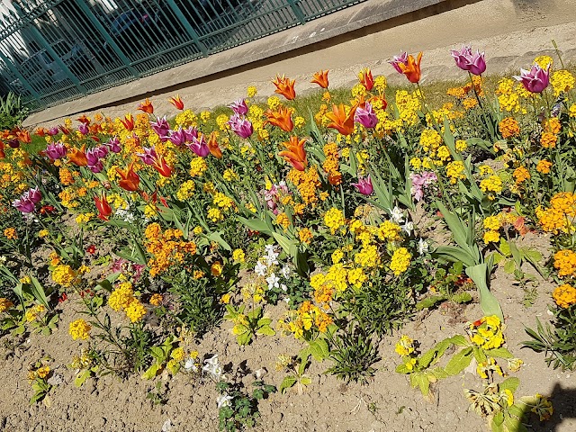 Place Dalida