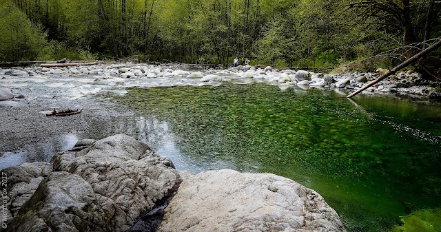 Lynn Canyon Park