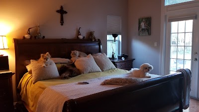 Photos of Soundside Animal Hospital
