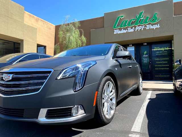 Cactus Wraps by null