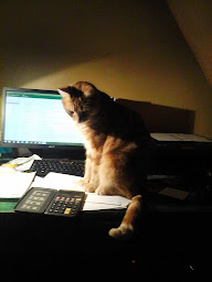 Photo n°7 de chambre dhote la ferme de leychoisier à Bonnac-la-Côte (Chambre d'hôtes)