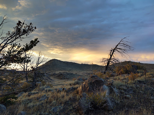 Wyoming Winds Gifts - Thumbnail