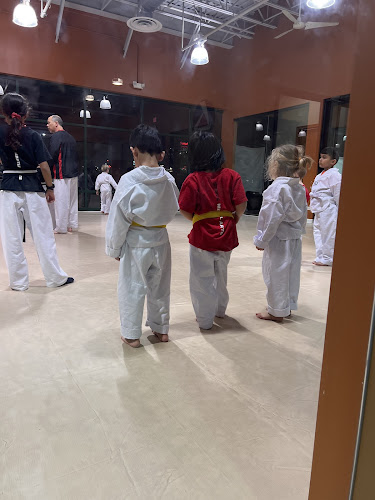 Strive Martial Arts - karate in Glen Ellyn, Illinois