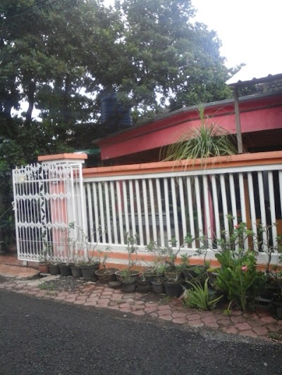 Photos of Palm Halmahera