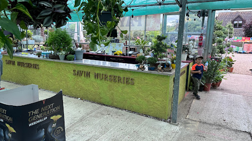 Savin Nurseries - Visual