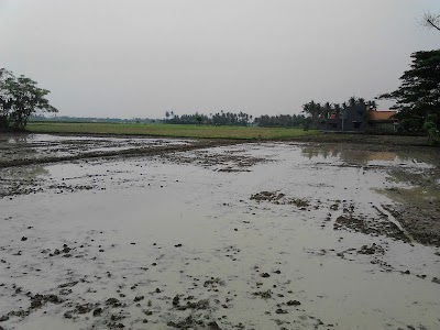 Photos of Kp.Tegal