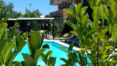 Photos of Lena Mare Hotel