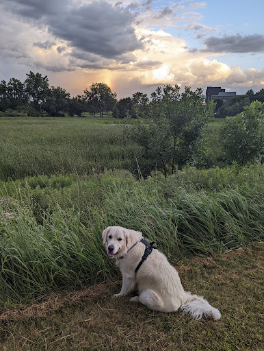 General Mills Nature Preserve - Thumbnail