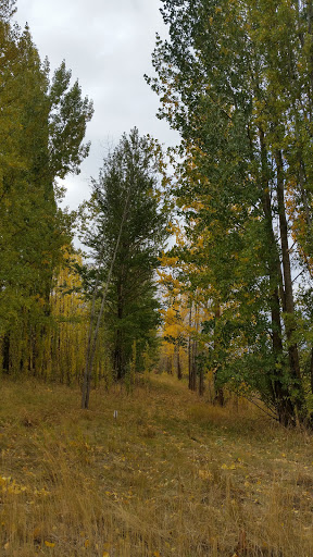 Washington State University Arboretum - Thumbnail