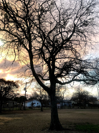 Embree Park - Visual