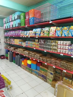 Petshop Rumah Kucing Pamulang, Author: Petshop Rumah Kucing Tomang