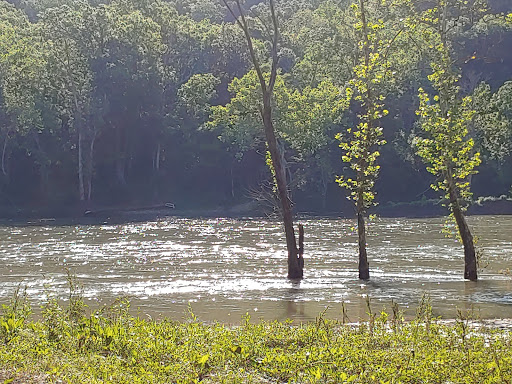 Shoey Camp grounds