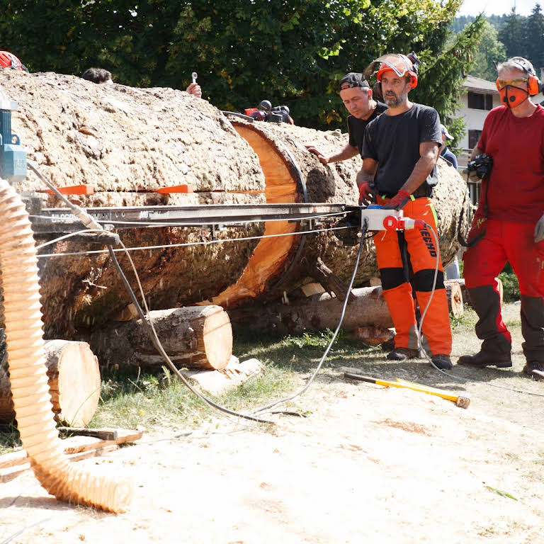 Segheria Mobile dei Berici - Servizio di segheria a domicilio in Veneto. Un  progetto TreeTeam, per dare valore al tuo legno a km 0!