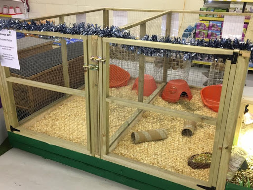 Powys Pets - Visual