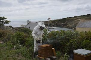 Photo n°2 de Les Atelières de la Reine à Plozévet (Miellerie)