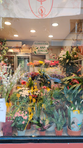 Ana Junior Florist - Thumbnail