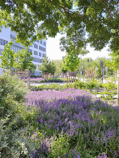 Photo de DOC PISCINES & JARDINS SANTE Espaces verts à Pamiers (09100)