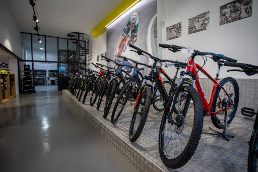 Marque Cycling - Thumbnail