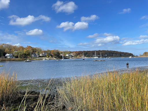 Phragmites Park - Thumbnail