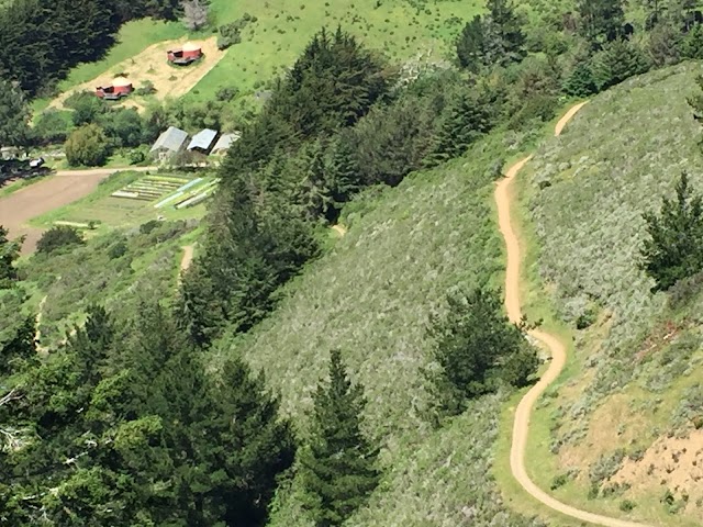 Muir Beach Parking Lot