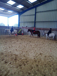 Photo n°7 de CHEVAL Pot' âgé à Bersac-sur-Rivalier (Club d'équitation)