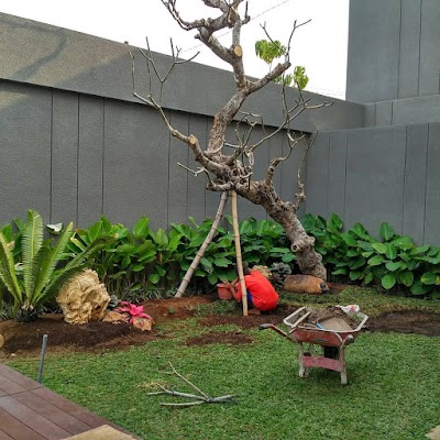 Photos of ALAM ASRI - Jasa Tukang Taman Surabaya Dan Kolam Minimalis Koi Surabaya