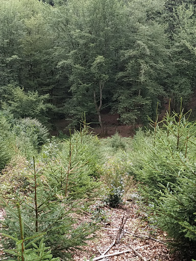Jugendzeltplatz Gut Kalberschnacke - Thumbnail