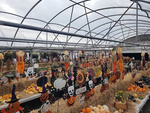 Country Garden Center Logo