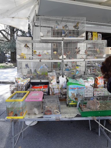 Mercato di Lecco - Thumbnail