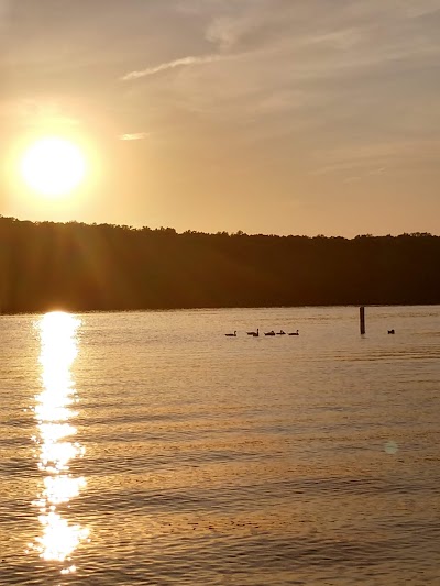 Pomme De Terre Beach