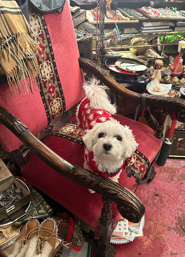 Crazy Antiques - Thumbnail