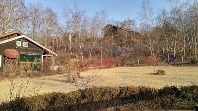 Photos of 미술관 자작나무숲