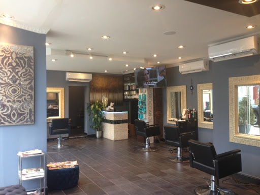 Salon 477 - Thumbnail