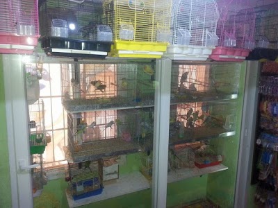 Photos of Pet Love My 328 Pet Shop