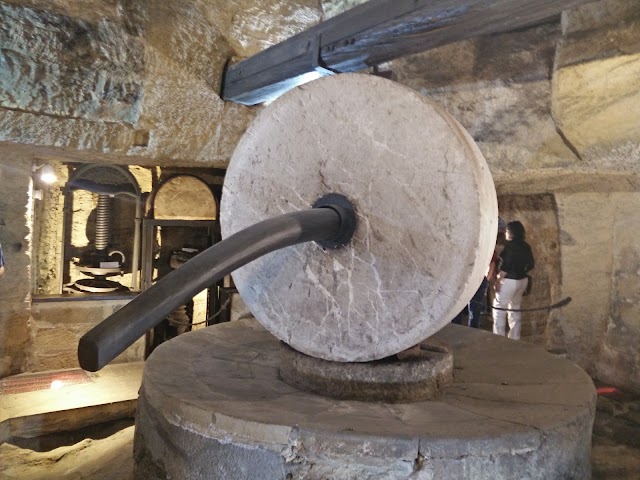 Frantoio Oleario Ipogeo di Palazzo Granafei