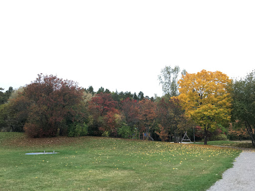 Storvretsparken Gallery - Sweden