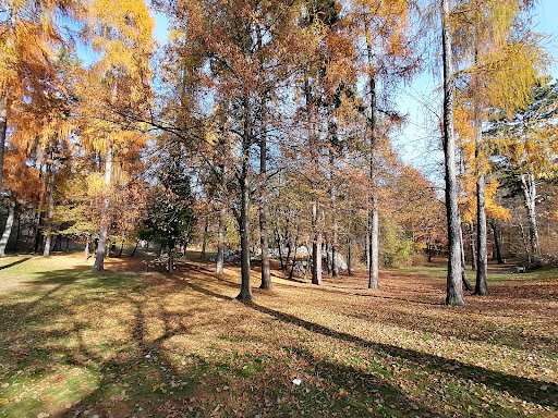 Campel - Thumbnail