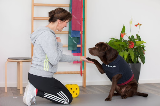 Physio DE | Physiotherapie in Ostfriesland Gallery - Germany