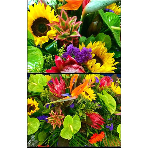 flowersin3hours - Thumbnail