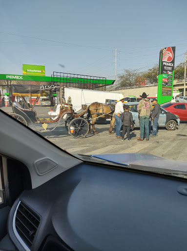 GASOLINERA SAN RAFAEL SA DE CV