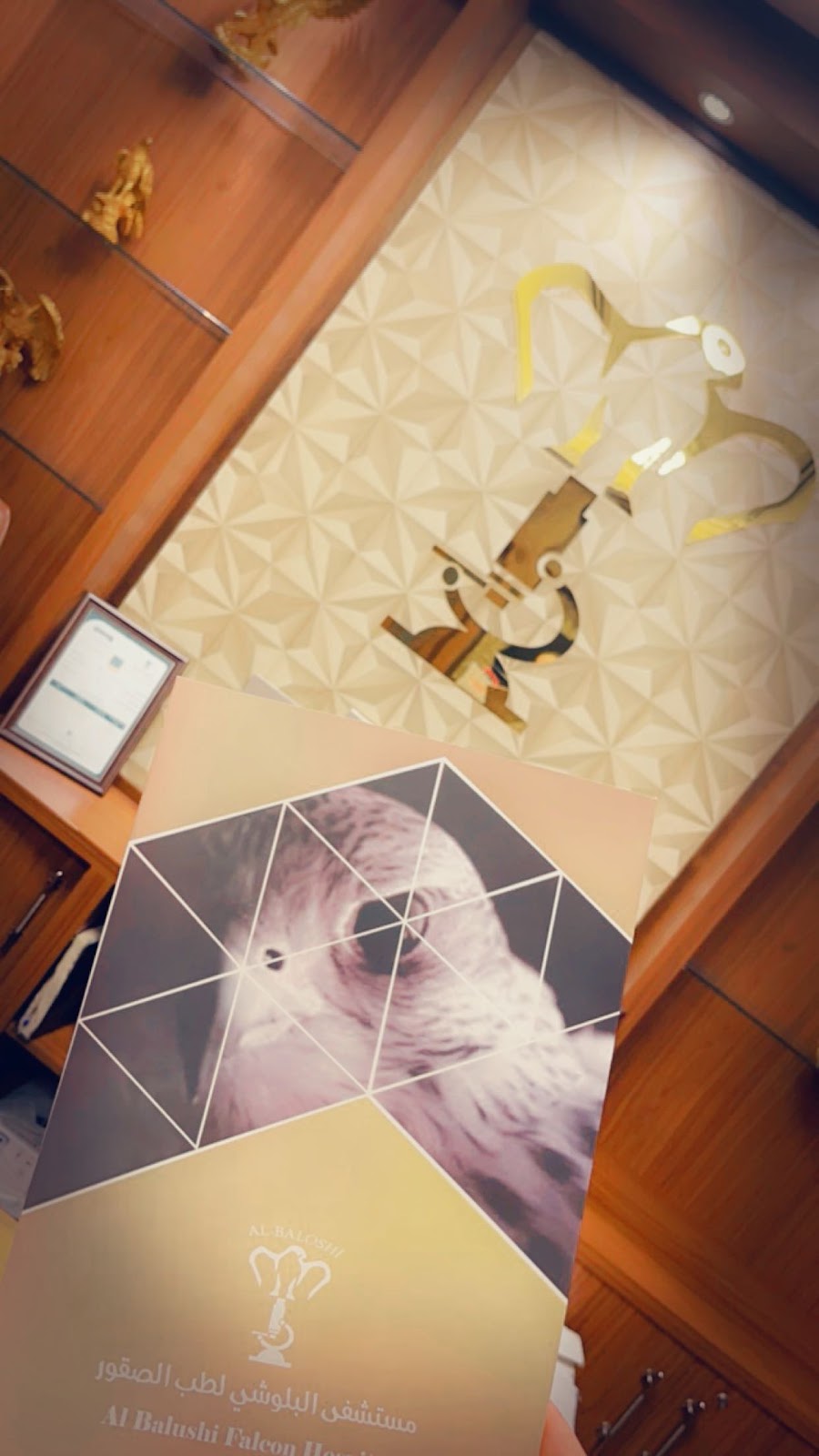 مستشفى البلوشي لطب الصقور - صورة 2