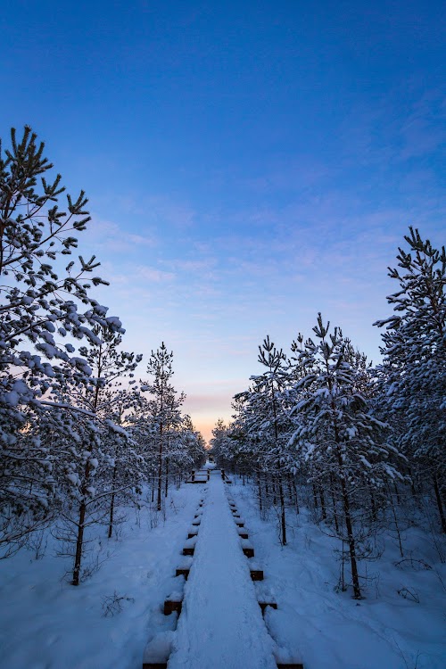 Lielie Kangari, skatu tornis