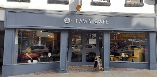 Paws Cafe - Visual