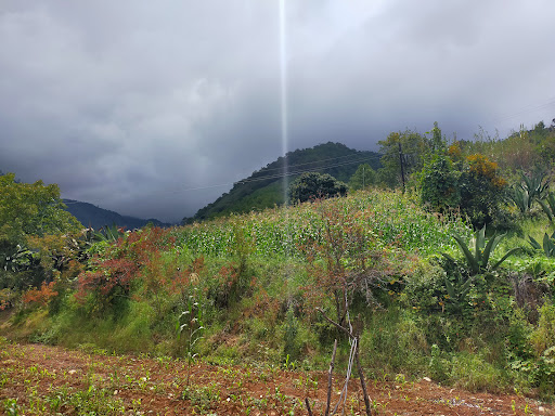 Iglesia del Centro de Zitlalcuautla - Thumbnail