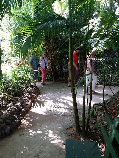 Photos of The Island Spice Grove