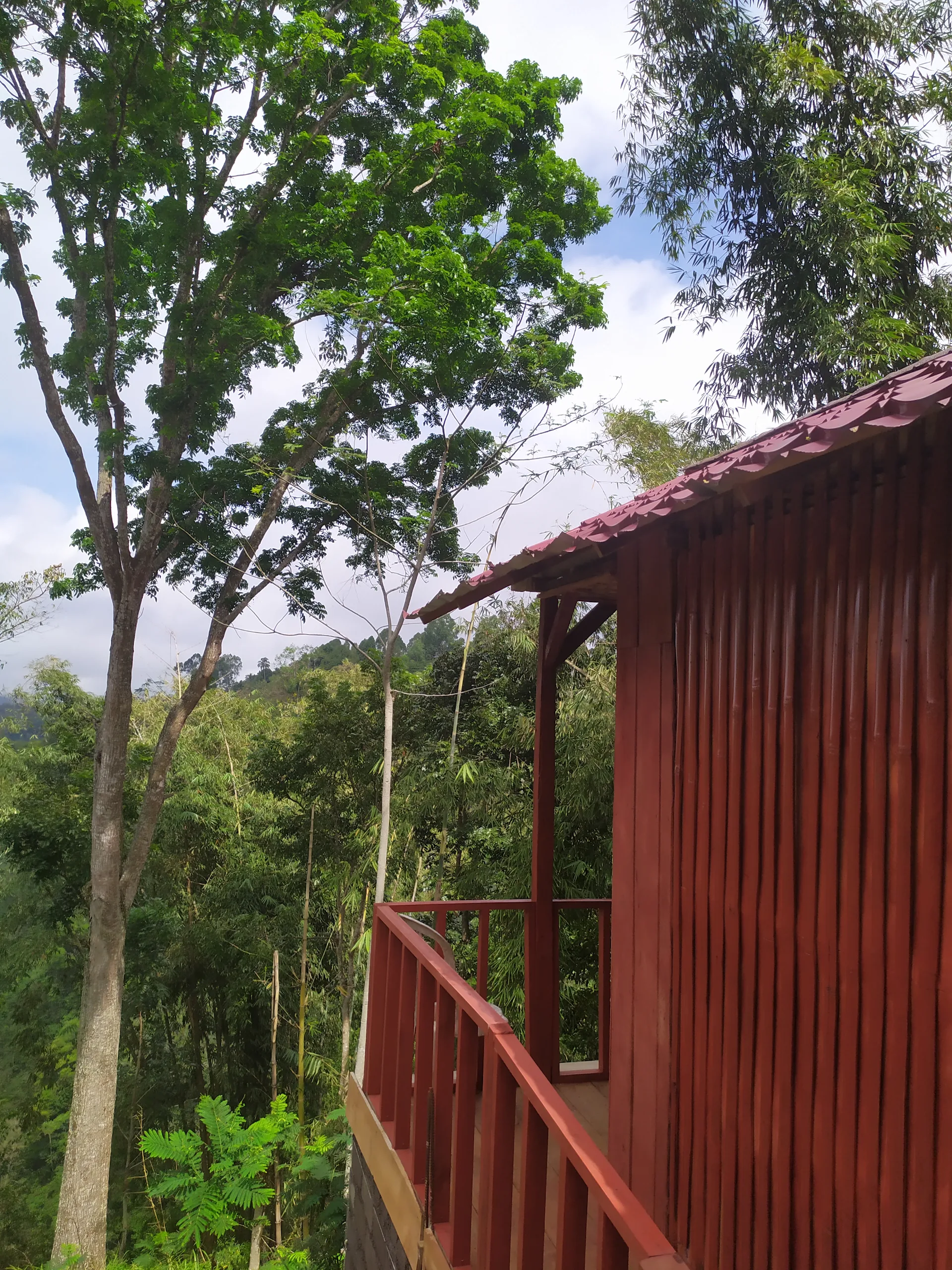 Happy monkeys village